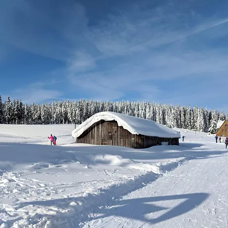Apartmán Bezbarierove Se Zahradkou